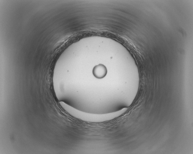 X0000114541110200911161351