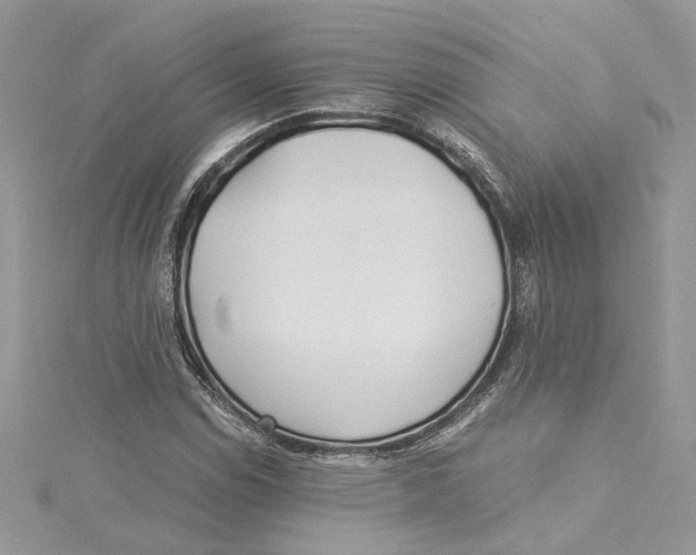 X0000114541114200911161351