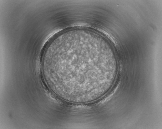 X0000114541117200911161351