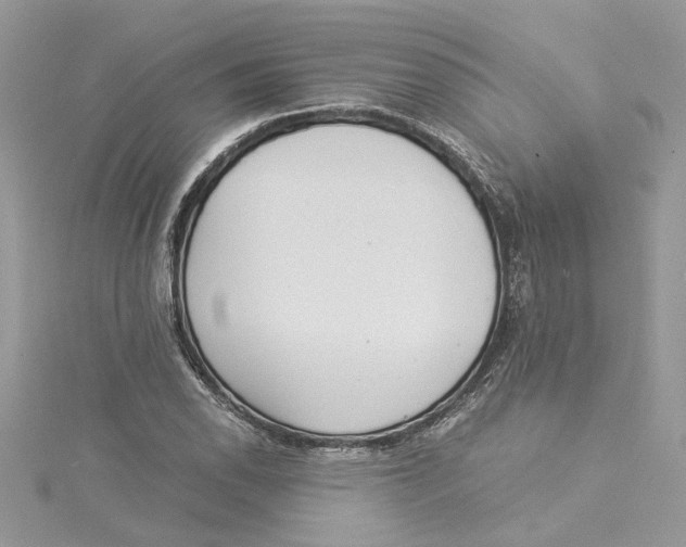 X0000114541118200911161351