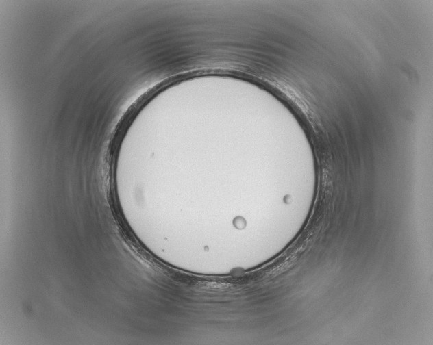 X0000114541119200911161351