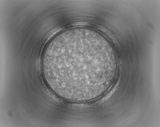 X0000114541121200911161351