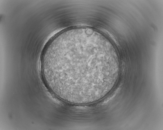 X0000114541125200911161351