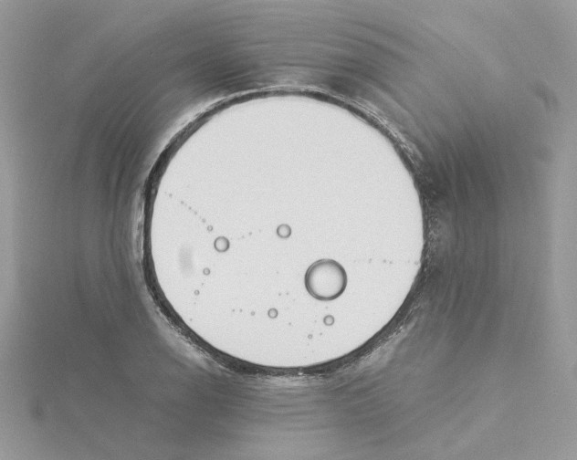 X0000114541126200911161352