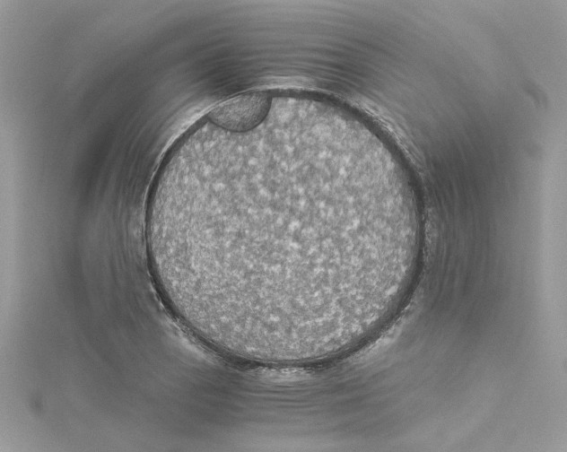 X0000114541129200911161352