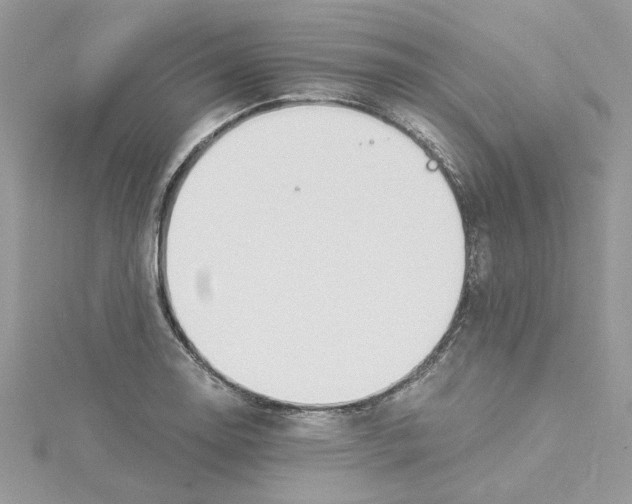 X0000114541130200911161352