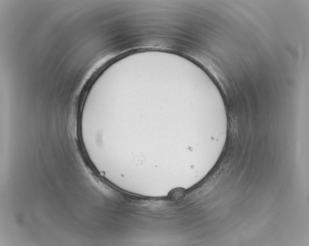 X0000114541131200911161352