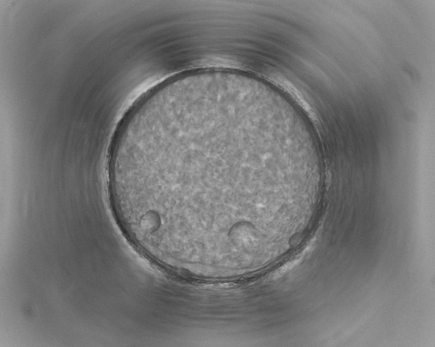 X0000114541133200911161352