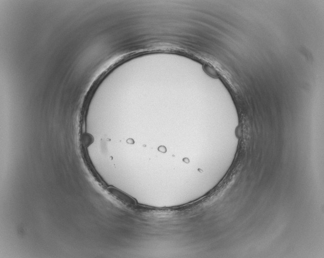 X0000114541134200911161352