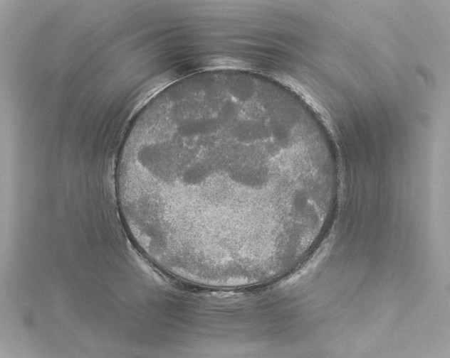 X0000114541137200911161352