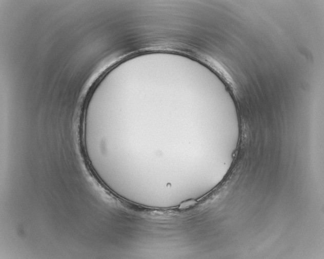 X0000114541138200911161352