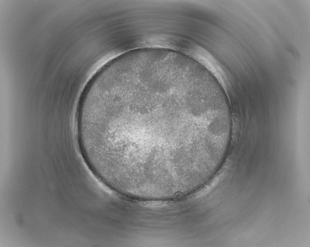 X0000114541141200911161352