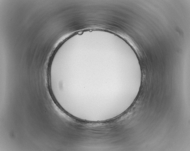 X0000114541143200911161352