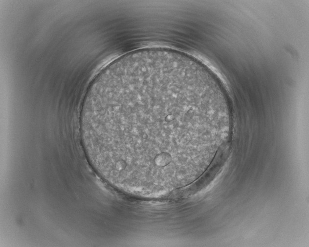 X0000114541145200911161352