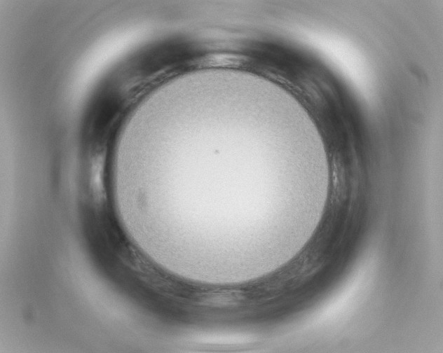 X0000114541150200911161352