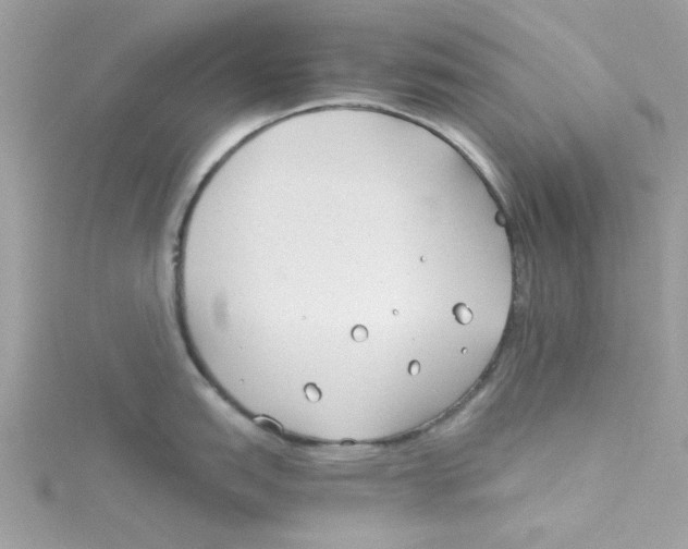 X0000114541151200911161352