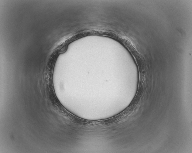 X0000114541159200911161351