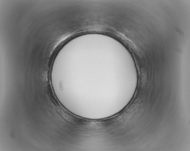 X0000114541166200911161351