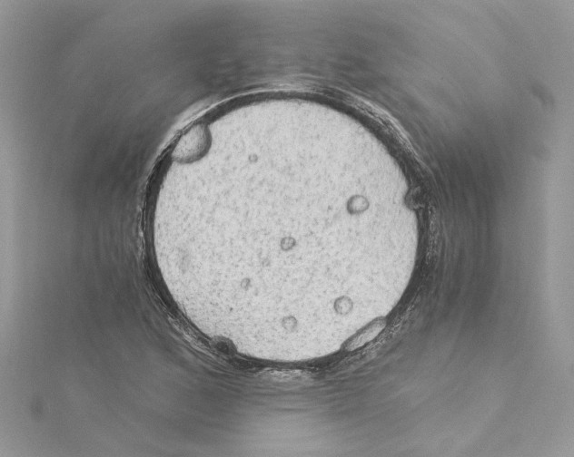 X0000114541168200911161351