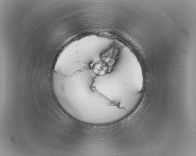 X0000114541169200911161351