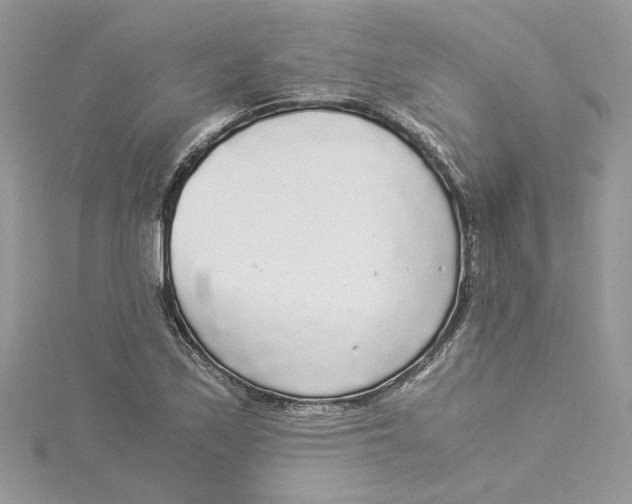 X0000114541171200911161351