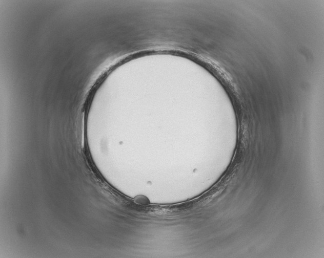 X0000114541175200911161351