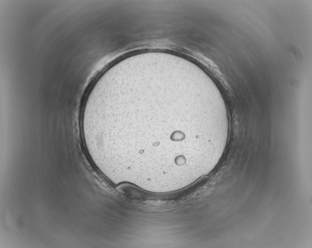 X0000114541176200911161351