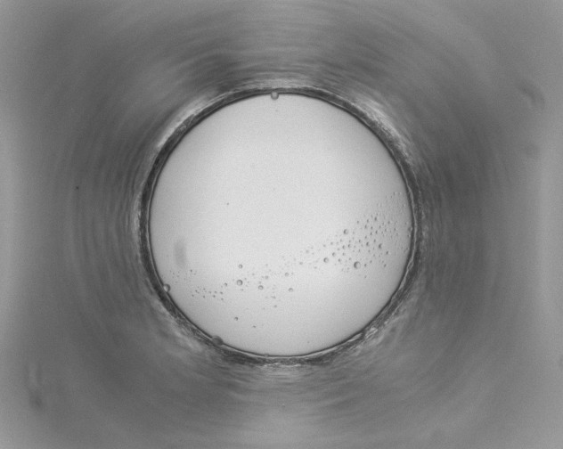 X0000114541181200911161351