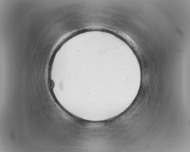 X0000114541183200911161351