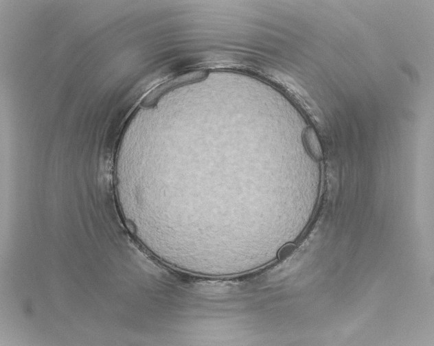 X0000114541185200911161351