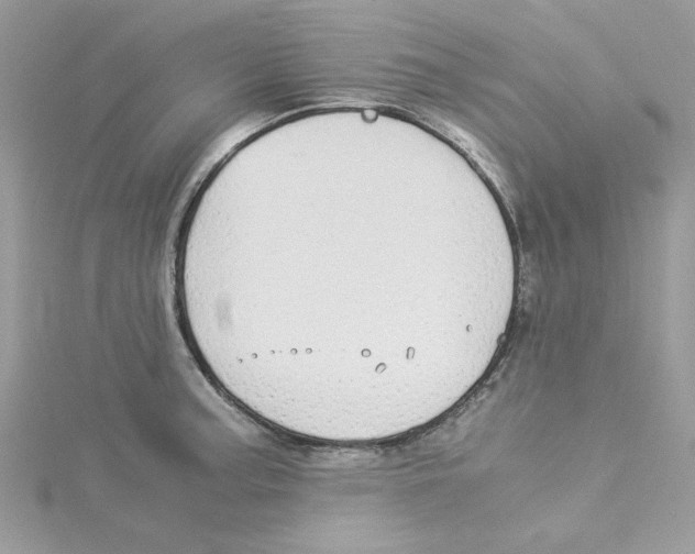 X0000114541187200911161351