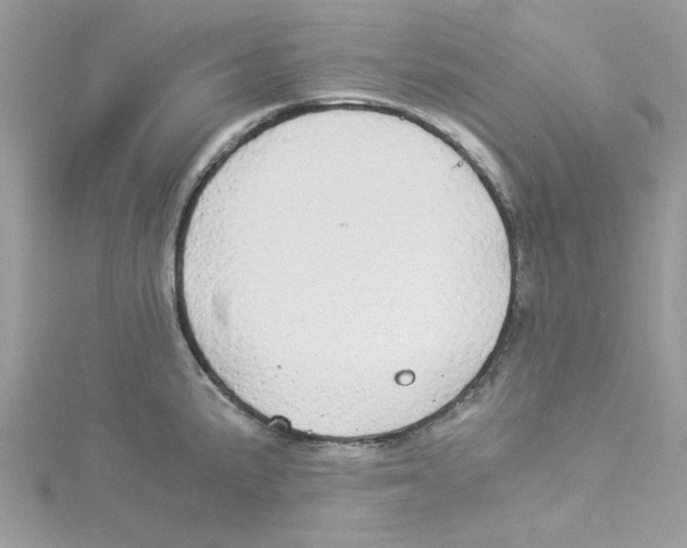 X0000114541191200911161351