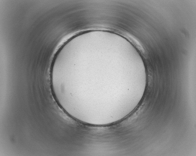 X0000114541192200911161351