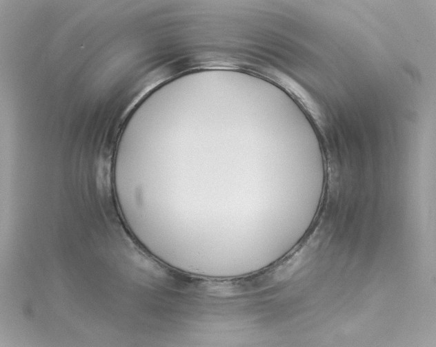 X0000114541194200911161351