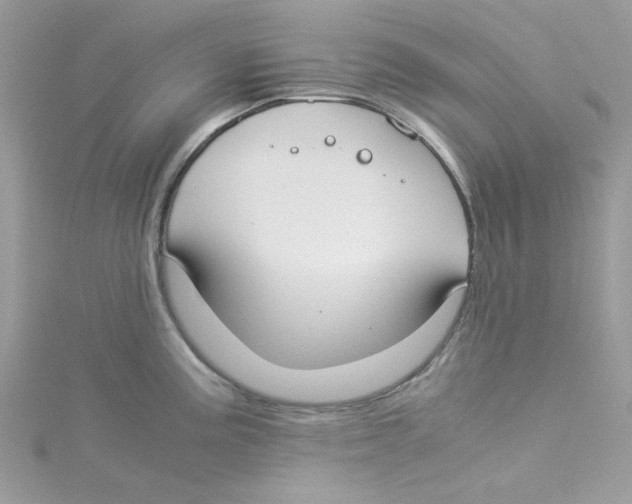 X0000114541195200911161351