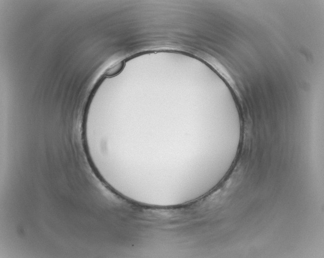 X0000114541197200911161350