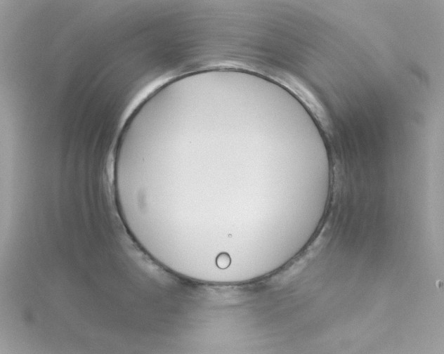 X0000114541198200911161350