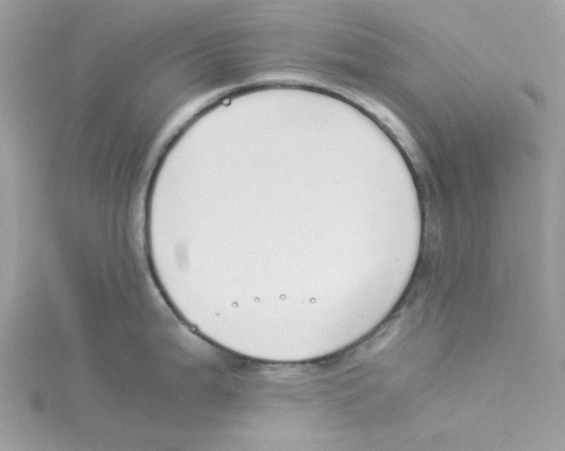 X0000114541199200911161350