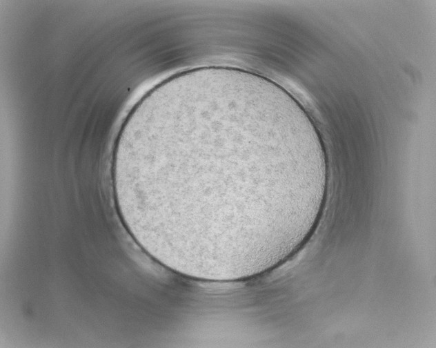 X0000114541200200911161350