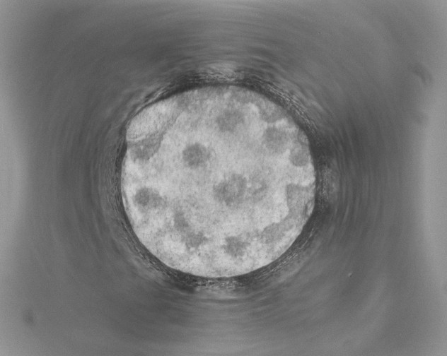 X0000114541201200911161350