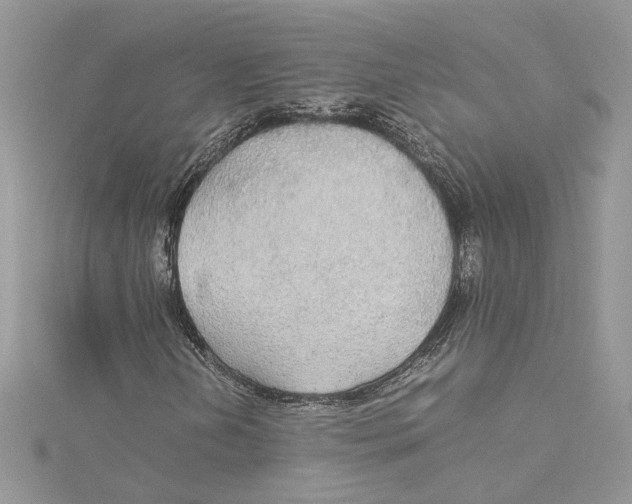 X0000114541202200911161350