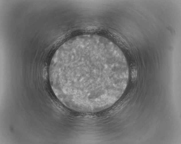 X0000114541204200911161350