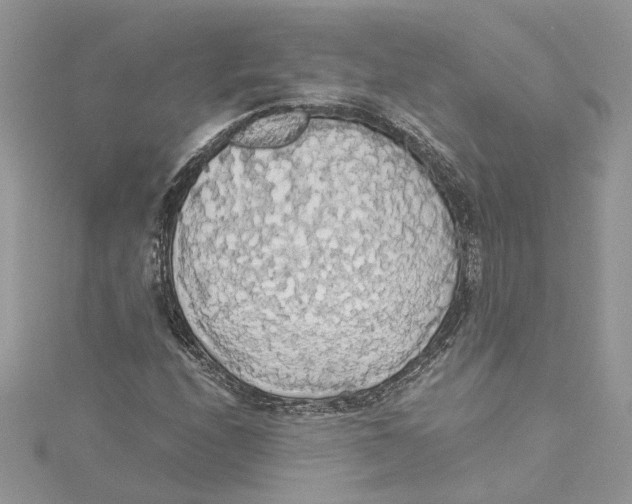 X0000114541208200911161350