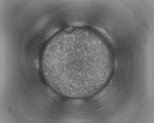 X0000114541209200911161350