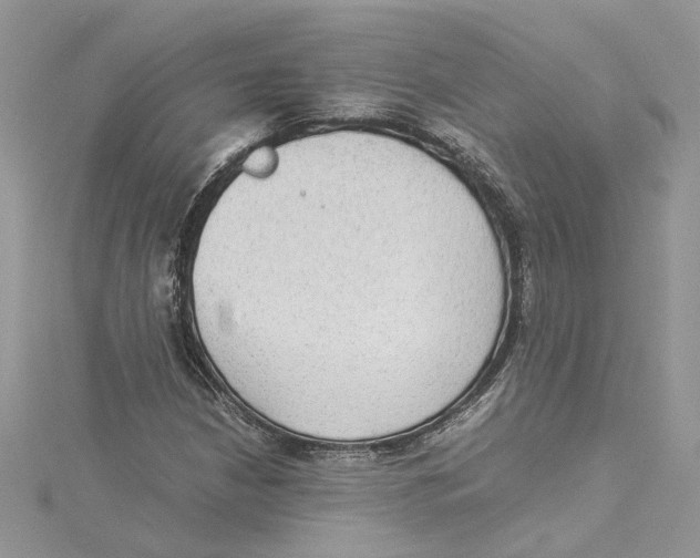 X0000114541210200911161350