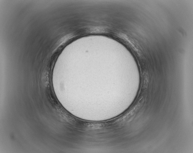 X0000114541211200911161350