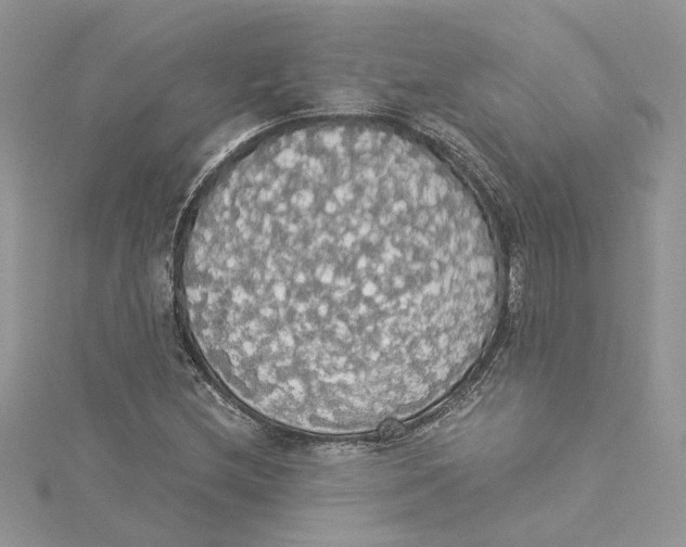 X0000114541212200911161350