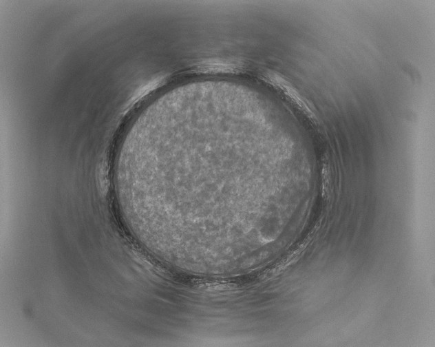 X0000114541213200911161350