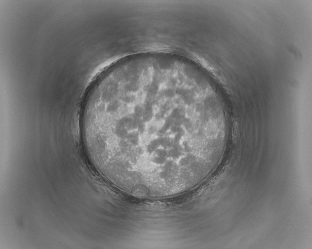 X0000114541214200911161350