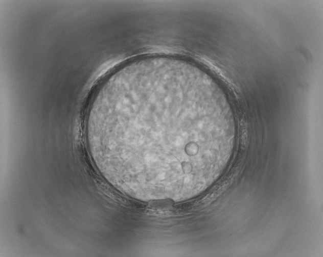 X0000114541215200911161350